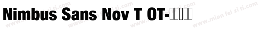Nimbus Sans Nov T OT字体转换